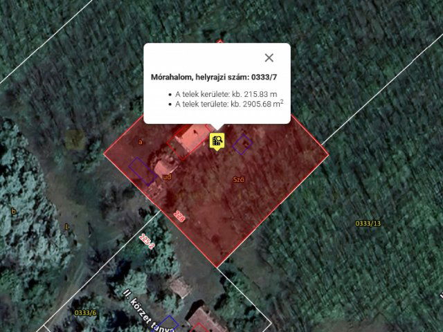 Eladó mezogazdasagi ingatlan, Mórahalmon 5.5 M Ft