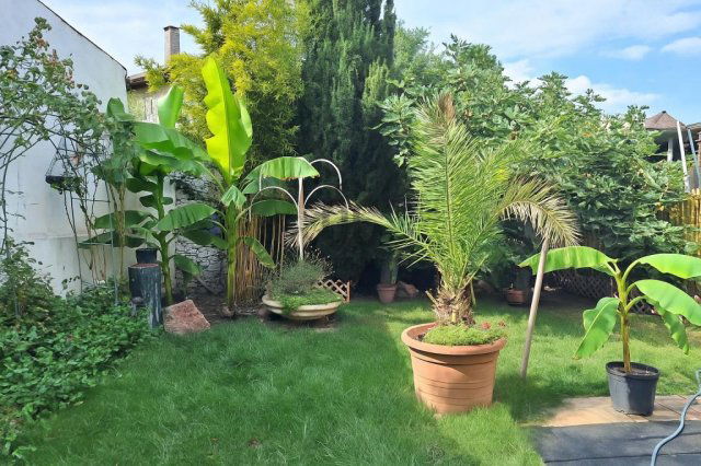 Eladó családi ház, Budapesten, XX. kerületben 120 M Ft, 8 szobás