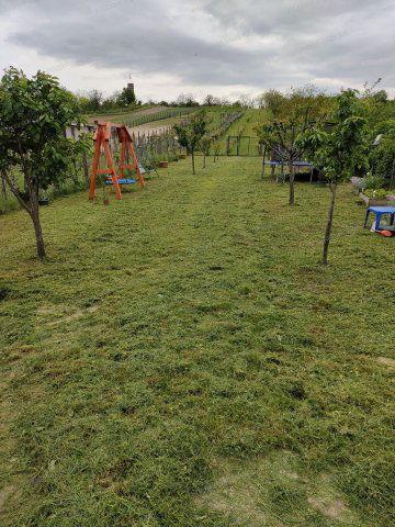 Eladó mezogazdasagi ingatlan, Kocson 19.9 M Ft, 2+1 szobás