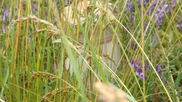 Eladó telek, Dabason 28.9 M Ft / költözzbe.hu