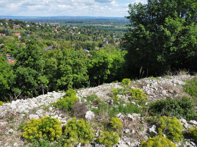 Eladó telek, Szentendrén 38.9 M Ft / költözzbe.hu