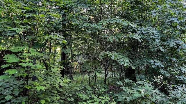 Eladó telek, Kismaroson, Fű utcában 3.6 M Ft