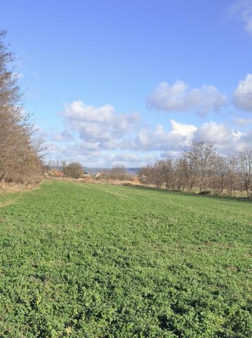 Eladó telek, Tatán 120 M Ft / költözzbe.hu