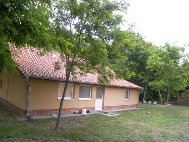 Eladó mezogazdasagi ingatlan, Csengelén 31.6 M Ft