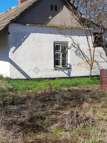 Eladó mezogazdasagi ingatlan, Szentesen 5 M Ft, 1 szobás