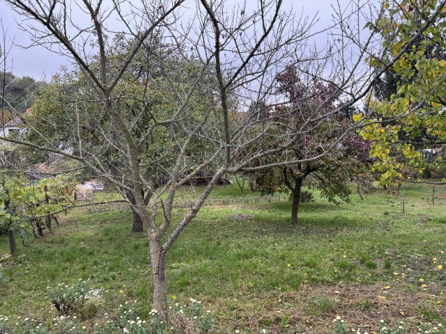 Eladó telek, Sárváron 35 M Ft / költözzbe.hu