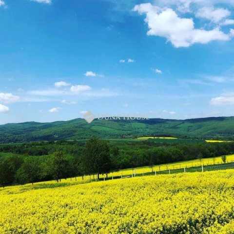 Eladó családi ház, Kőszegdoroszlón 92.9 M Ft, 4 szobás