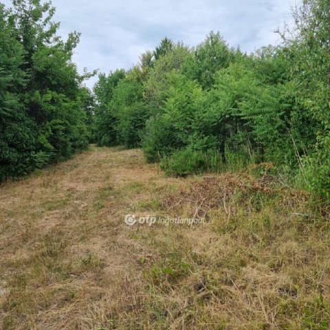 Eladó telek, Budakeszin 110 M Ft / költözzbe.hu