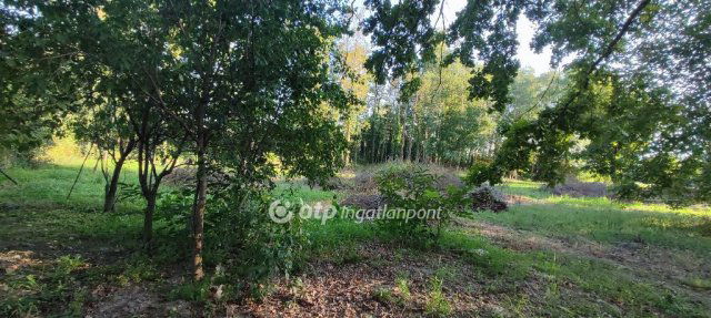 Eladó telek, Csöglén 5 M Ft / költözzbe.hu