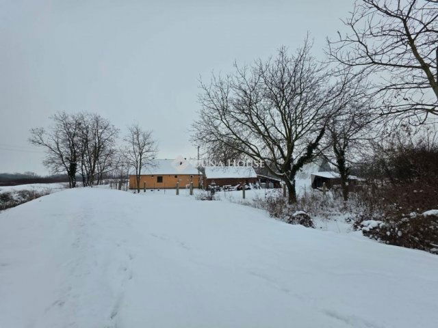 Eladó mezogazdasagi ingatlan, Szigetváron 84.9 M Ft, 4 szobás