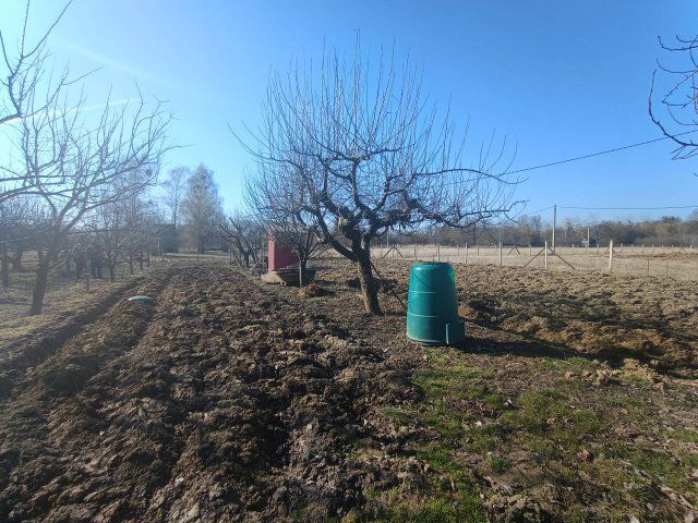 Eladó mezogazdasagi ingatlan, Sárospatakon 2.5 M Ft