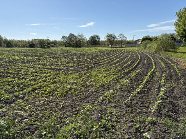 Eladó telek, Győrszemerén 110 M Ft / költözzbe.hu