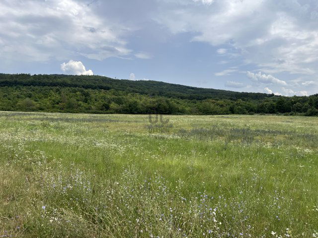 Eladó telek, Budajenőn 765.206 M Ft / költözzbe.hu
