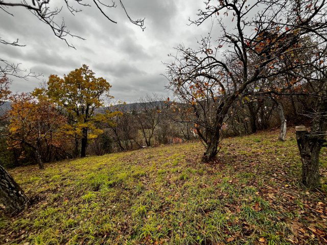 Eladó telek, Pécsett 25 M Ft / költözzbe.hu