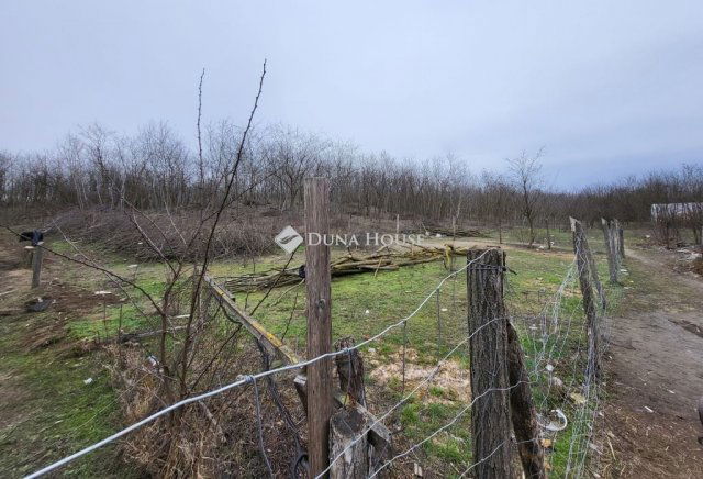 Eladó telek, Dabason 6 M Ft / költözzbe.hu