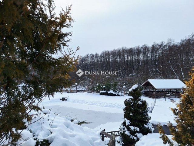 Eladó családi ház, Domonyban 239.9 M Ft, 4 szobás