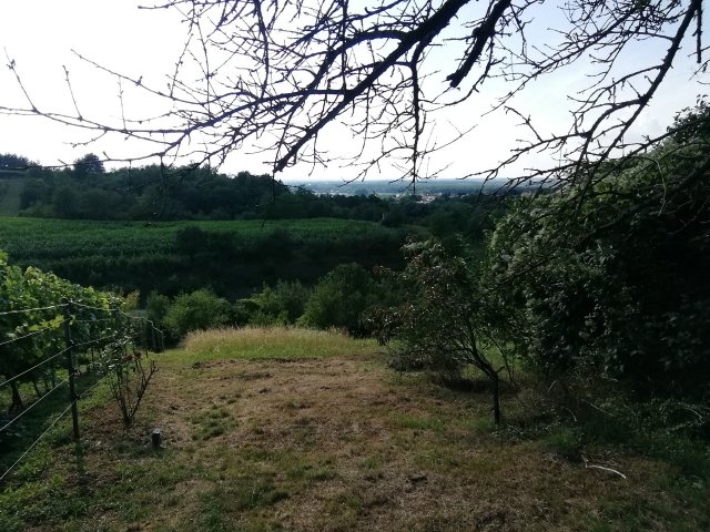 Eladó családi ház, Zalaegerszegen 14.9 M Ft, 2 szobás