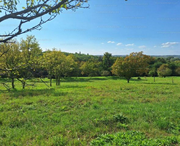 Eladó mezogazdasagi ingatlan, Nagygörbőn 9.8 M Ft