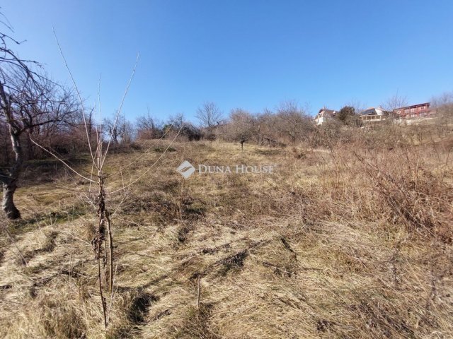 Eladó telek, Vácon 35 M Ft / költözzbe.hu