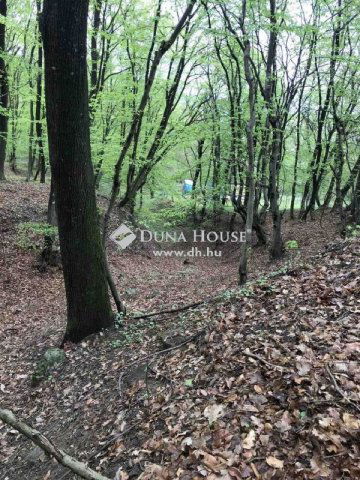 Eladó telek, Pilismaróton 7.9 M Ft / költözzbe.hu