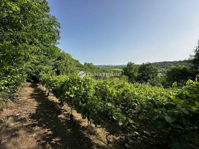 Eladó nyaraló, Tamásiban 9.9 M Ft, 1 szobás
