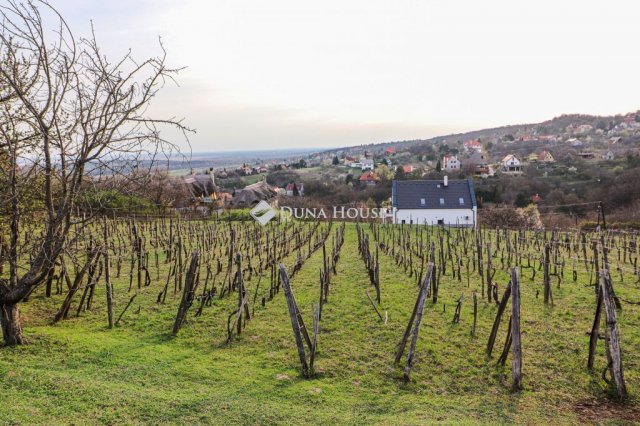 Eladó telek, Sukorón 169.9 M Ft / költözzbe.hu