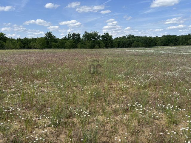 Eladó telek, Debrecenben 17.9 M Ft / költözzbe.hu