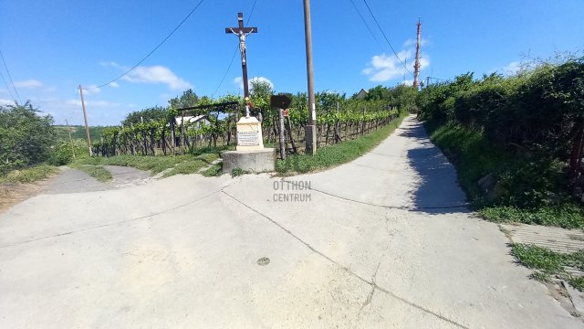 Eladó mezogazdasagi ingatlan, Szekszárdon 4.2 M Ft