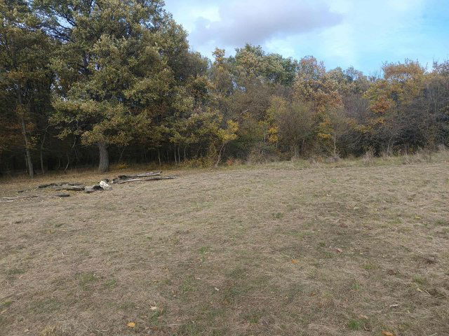 Eladó mezogazdasagi ingatlan, Vértesszőlősön 15.5 M Ft