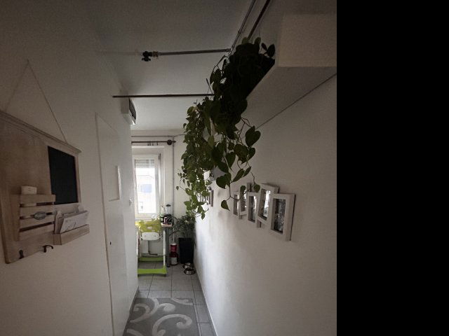 Eladó panellakás, Szegeden 50 M Ft, 2 szobás