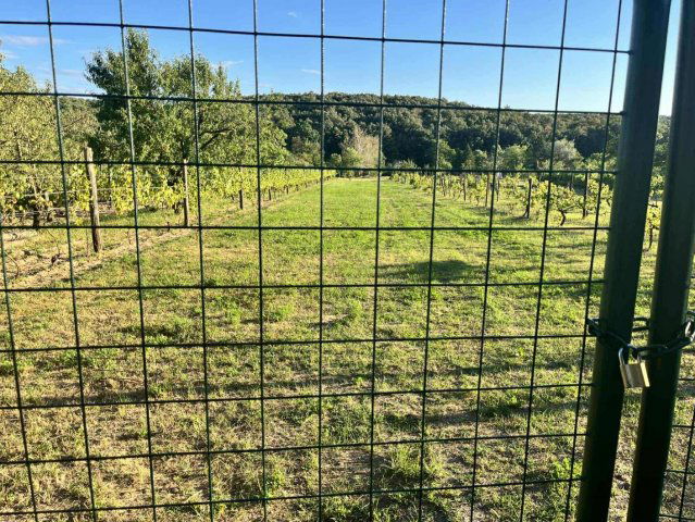 Eladó telek, Várgesztesen 6 M Ft / költözzbe.hu