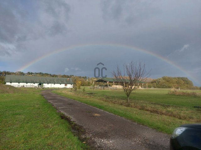 Eladó mezogazdasagi ingatlan, Tiszacsegén 400 M Ft