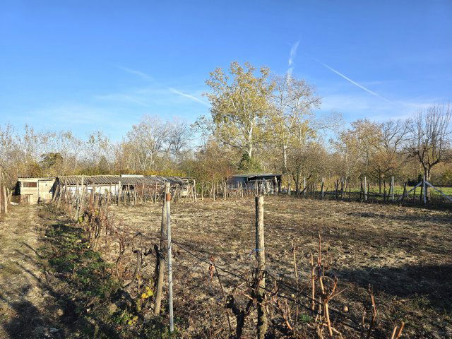 Eladó családi ház, Dunaszentbenedeken 24.9 M Ft, 2 szobás