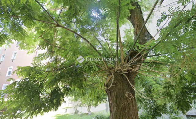 Eladó téglalakás, Budapesten, XI. kerületben 54.9 M Ft, 1 szobás