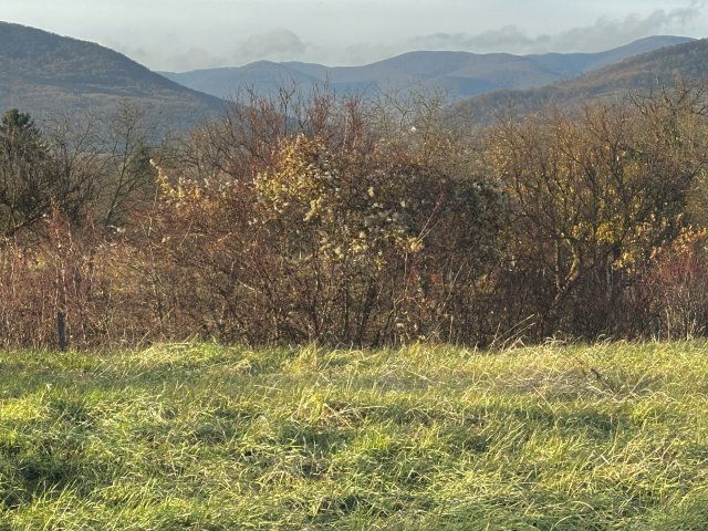 Eladó telek, Szokolyán 26.5 M Ft / költözzbe.hu