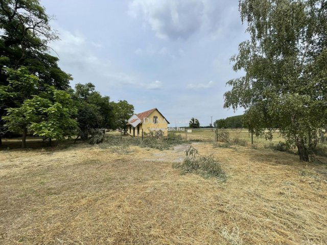 Eladó mezogazdasagi ingatlan, Kecskeméten 79 M Ft