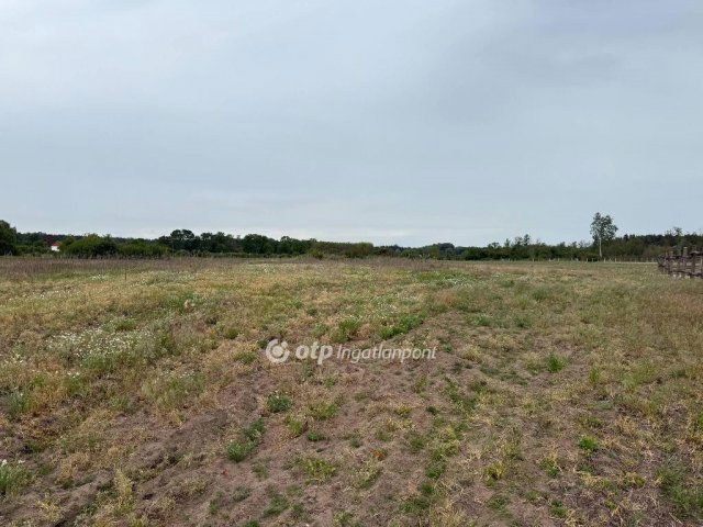 Eladó mezogazdasagi ingatlan, Debrecenben 120 M Ft