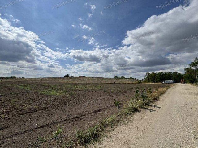 Eladó mezogazdasagi ingatlan, Kunszálláson 130 M Ft