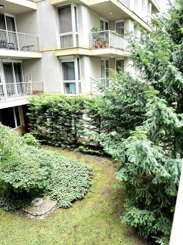 Kiadó téglalakás, albérlet, VII. kerületben, Rejtő Jenő utcában