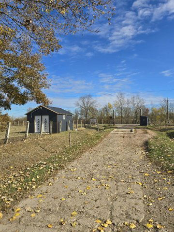 Eladó mezogazdasagi ingatlan, Békésen 195 M Ft
