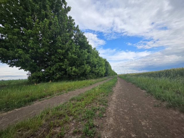 Eladó mezogazdasagi ingatlan, Mezőszentgyörgyön 2.45 M Ft
