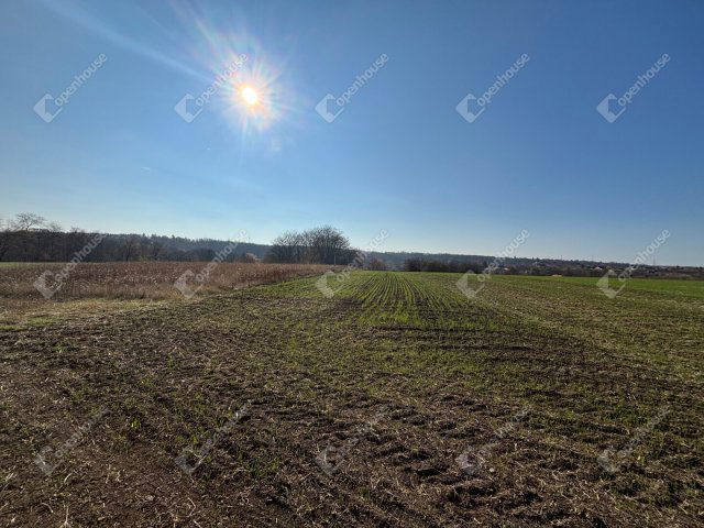 Eladó telek, Gombán 27.9 M Ft / költözzbe.hu