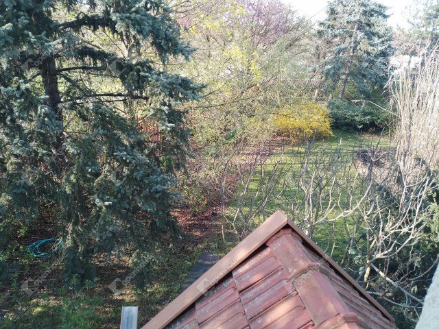 Eladó családi ház, Muronyon 24.9 M Ft, 5 szobás