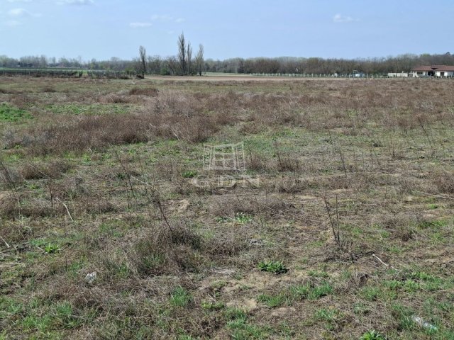 Eladó ipari ingatlan, Ballószögön 240 M Ft