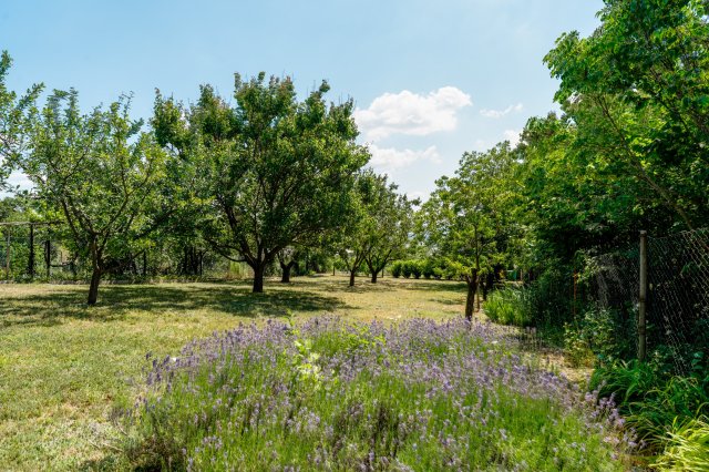 Eladó családi ház, Zsámbékon 108 M Ft, 4 szobás