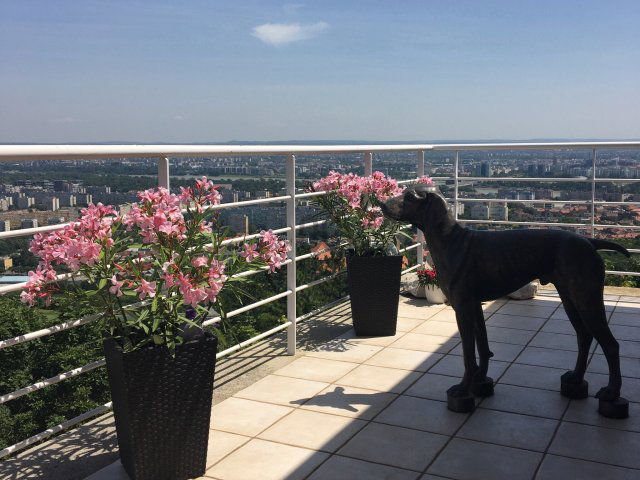 Eladó téglalakás, Budapesten, III. kerületben 240 M Ft, 3 szobás