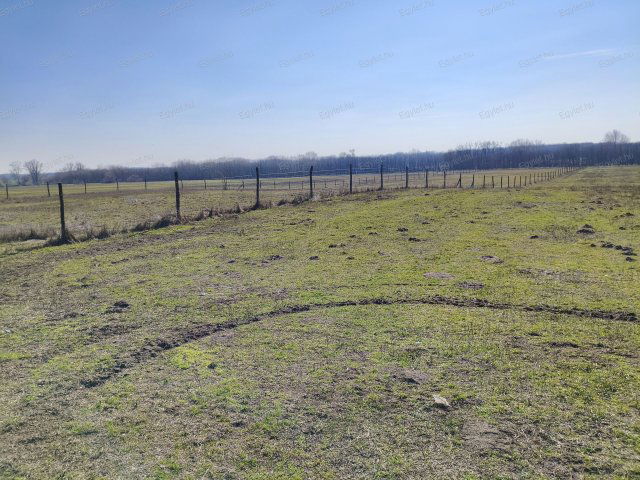 Eladó mezogazdasagi ingatlan, Budapesten, XVII. kerületben