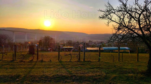 Eladó telek, Kőröshegyen 29.9 M Ft / költözzbe.hu