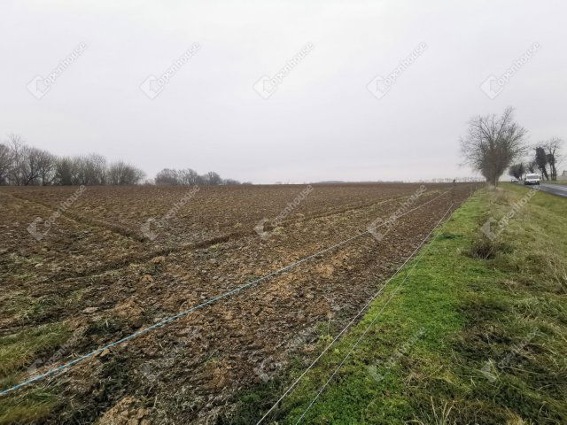 Eladó mezogazdasagi ingatlan, Sármelléken 10.2 M Ft