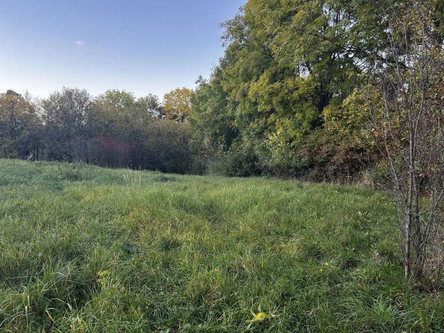 Eladó telek, Telkibányán 25 M Ft / költözzbe.hu